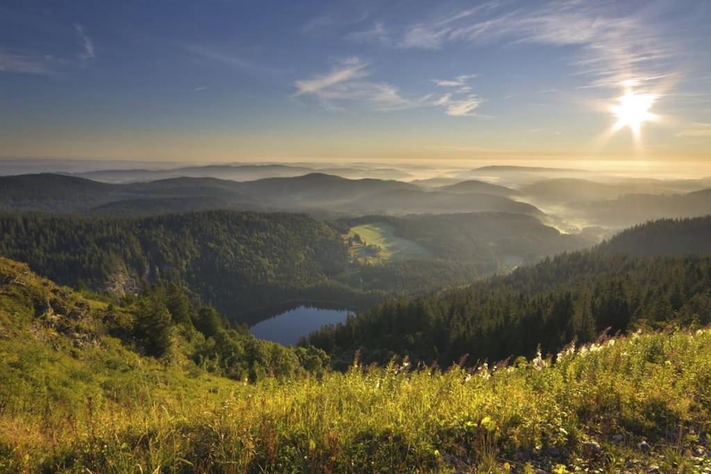 Ferienwohnung Lotti + Hochschwarzwald Card Titisee-Neustadt Exterior photo